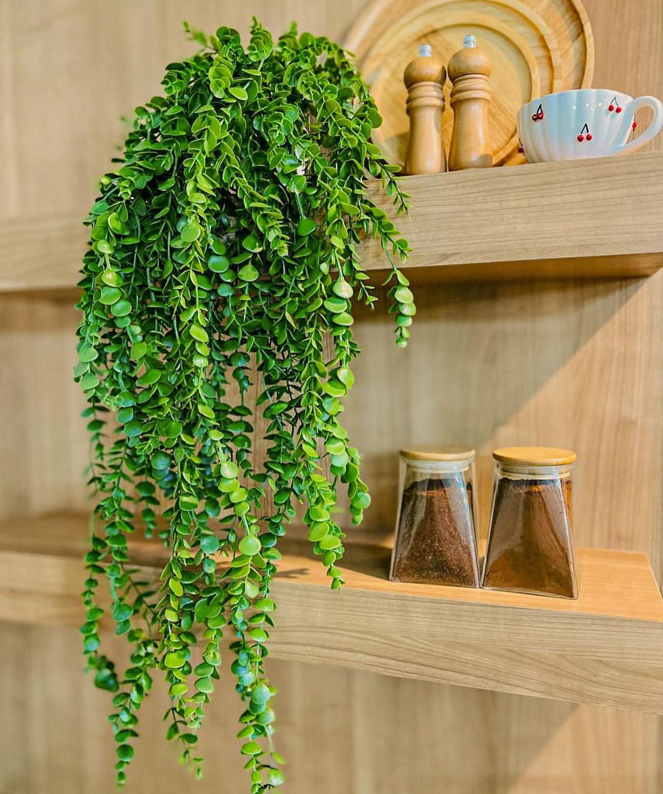 باما خانه ات را زیبا کن